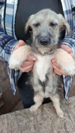 564830645 2092903624815339 5652145091311715487 n