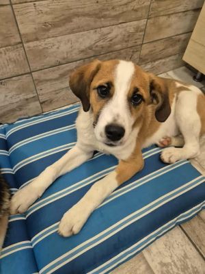 564842403 1194008462635027 7789558835838084179 n