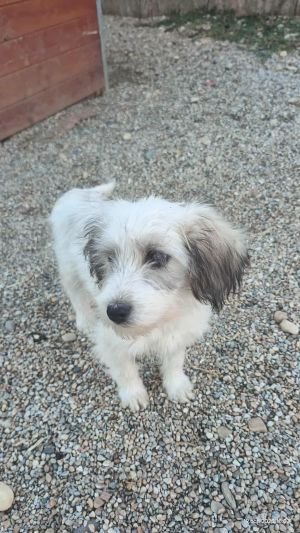 564905944 1367666101652223 5011628593690825814 n