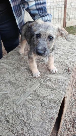 564905944 794029373260670 1910917916223797362 n