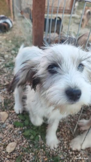 565027194 682861311103805 5506214723155262321 n