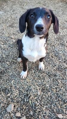 565041200 1484009276184577 8452016511873099904 n