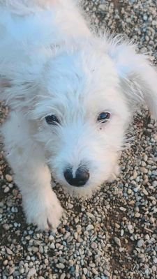 565048932 1182294803749804 3487809726379957584 n