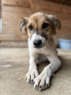 565082028 31716038154709539 8016877991444168403 n