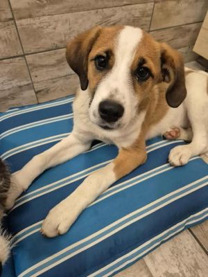 565087410 3156351584553148 8112874849912733313 n