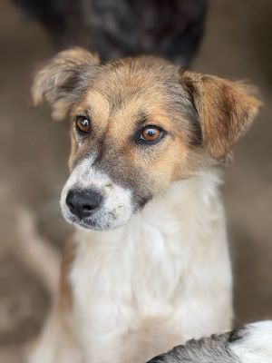 565118340 31716039091376112 1696188637307527404 n