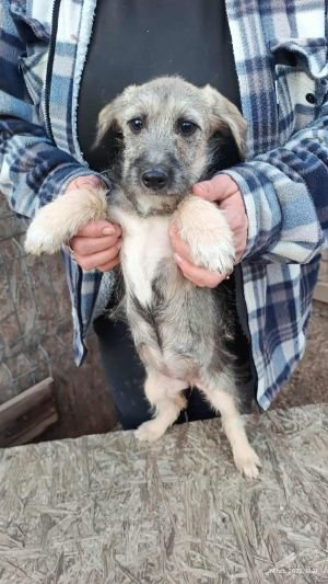 565206472 1871033186820244 3892757254507465570 n