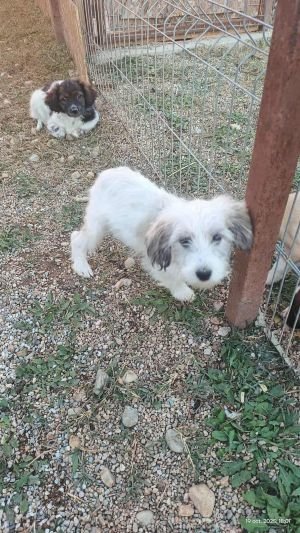 565275393 1125617902987646 4453344178885924864 n