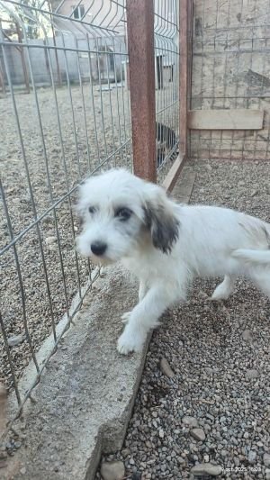 565434698 1835458057053711 669304742274968325 n