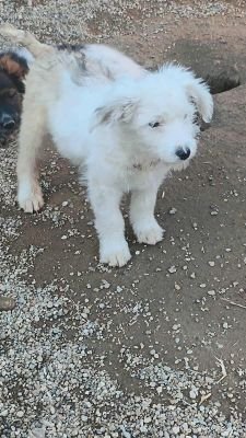 565557128 1110985057787279 8459826579290517175 n