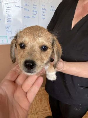 565705644 24963825353258056 7296518343235786614 n