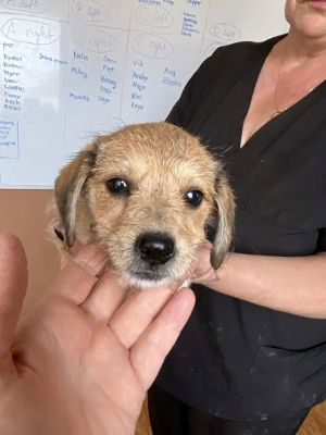 565709302 24963825613258030 270095109853256559 n