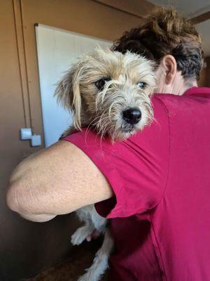 565715500 24963488666625058 256653751815542631 n