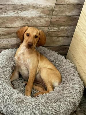 565718462 24973937698913488 1083494331184737430 n