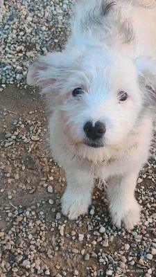 565894803 657983157155265 3472053636071405381 n