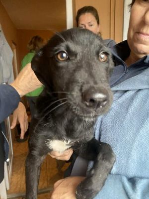 565919072 24983309254642999 7841038055046276520 n