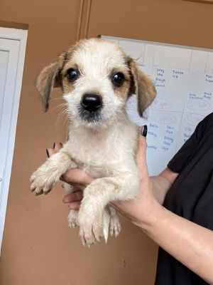 565921989 24963729096601015 1208054329761330332 n