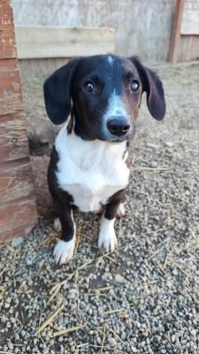 565989135 2060233198120801 2357670369923464741 n