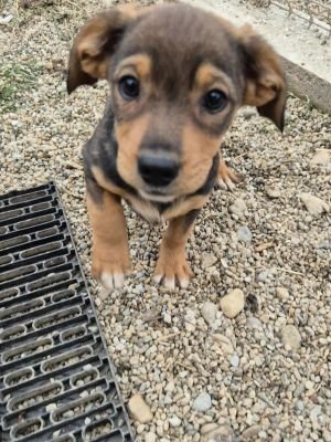 566174119 1467967214501462 2828722576375348448 n