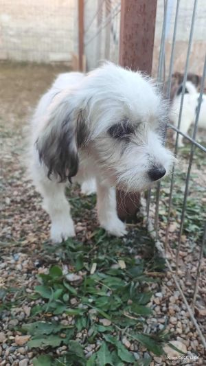 566180756 804085562487642 8181595976910520001 n