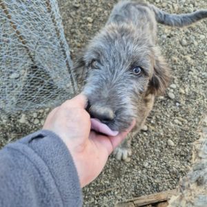 566190046 840332298391379 7152091420910437610 n