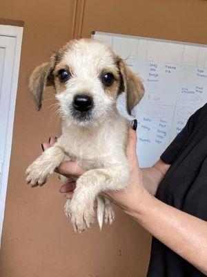 566203785 24963729083267683 2253100313647974612 n