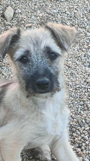 566208443 1892134568065313 4065364629686620266 n