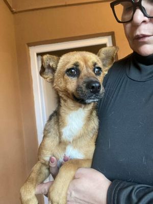 566210001 24984177431222848 4744923105657185026 n