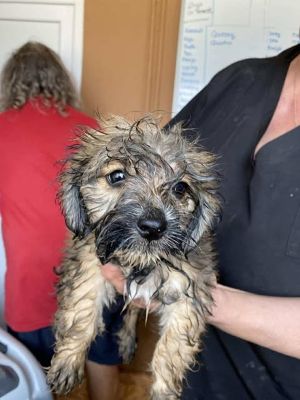 566221161 24963663526607572 1717614422444928488 n