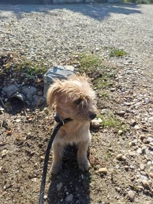 566221296 24963489259958332 2976336734988829681 n