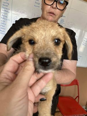 566242369 24963697166604208 6252958231267361157 n