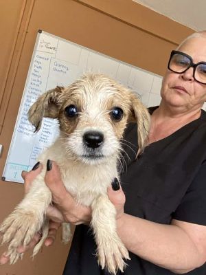 566246201 24963787749928483 5154564158932673712 n