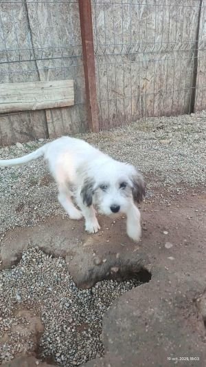 566318866 1146251123746648 182448703683949884 n