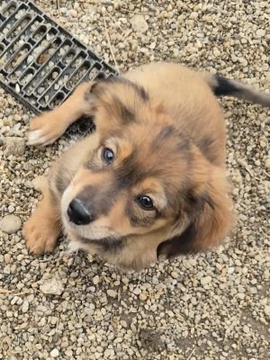 566329295 1448584919583980 4677455046872447348 n