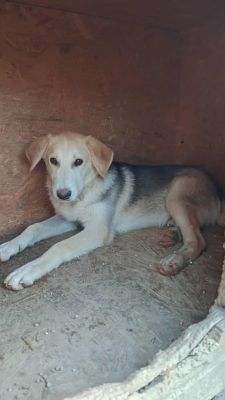 566329672 1466177237819564 8949771975556797650 n