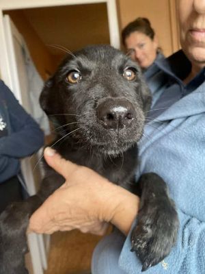 566339078 24983308521309739 7996757005928112766 n