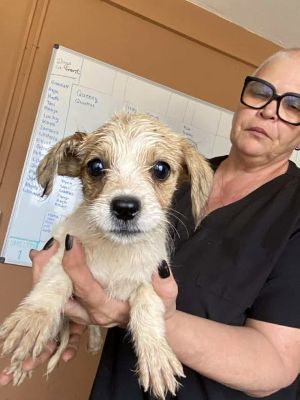 566346608 24963787769928481 3008729129643565392 n