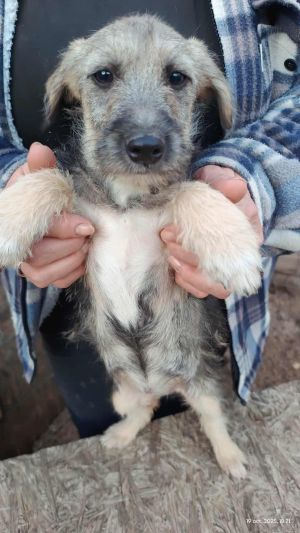 566348778 2069043607255820 914451139617176046 n