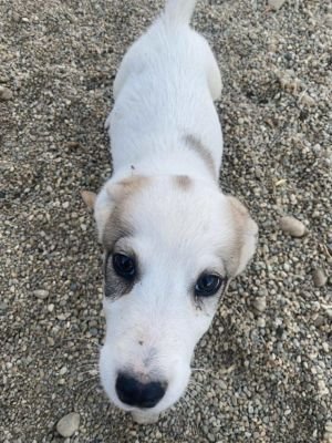 566349991 1509832504486266 7233666444997730325 n