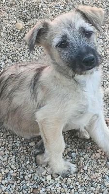 566367994 1340423760799480 6810900505759202586 n