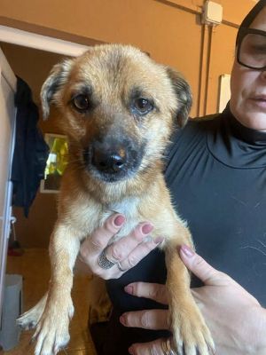 566373716 24984276421212949 2270916491582941896 n