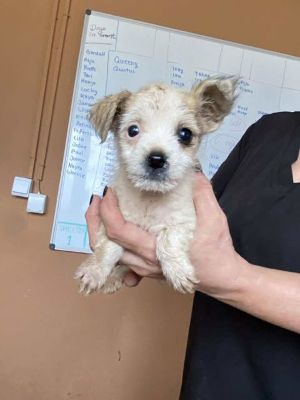 566374282 24963575656616359 7224872379757413735 n