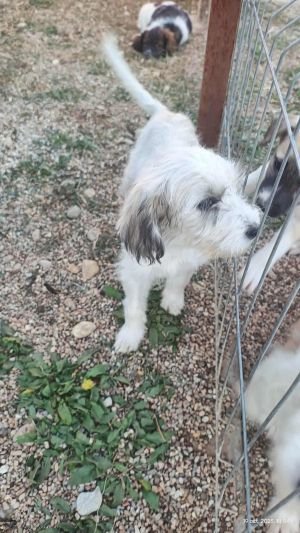 566382684 799234072904079 3852051749740789554 n