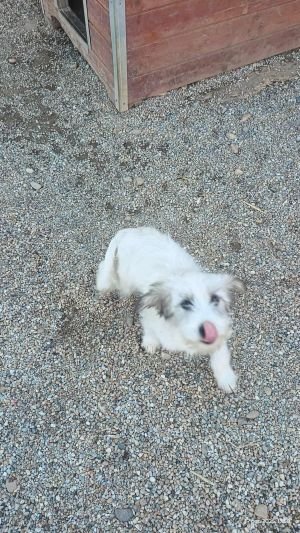 566386835 735255412906670 8613116899582861756 n