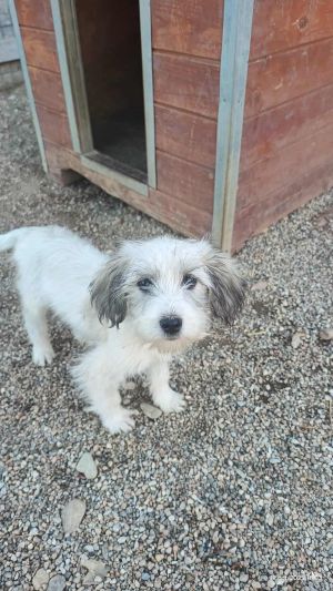 566401790 25134204819578439 9040500169444440636 n