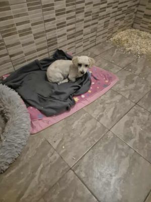 566415272 1310007490299601 9183701854678164177 n