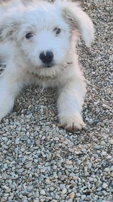 566426423 3734465433526234 6094021941667644335 n