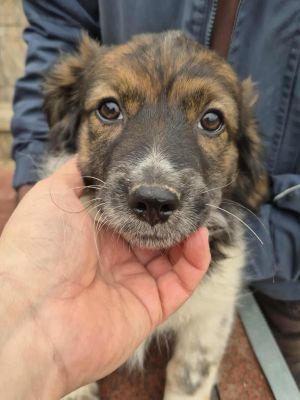 566426805 1943907166549765 50468669024956260 n