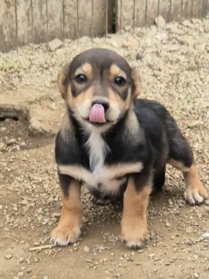 566440254 1346865510166830 1233154700291708351 n