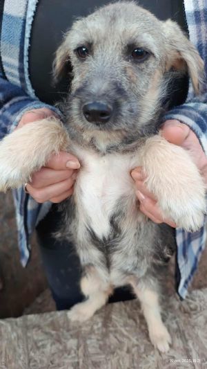 566456757 1307173227553584 6322225158342347432 n